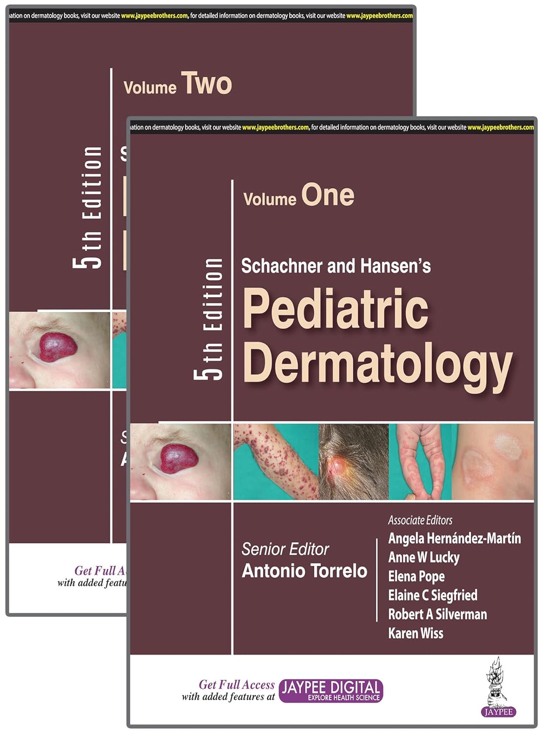 Schachner and Hansen's pediatric dermatology /senior editor, Antonio Torrelo ; associate editors, Angela Hernández-Martín [and five others] ; foreword, Jean L. Bolognia.