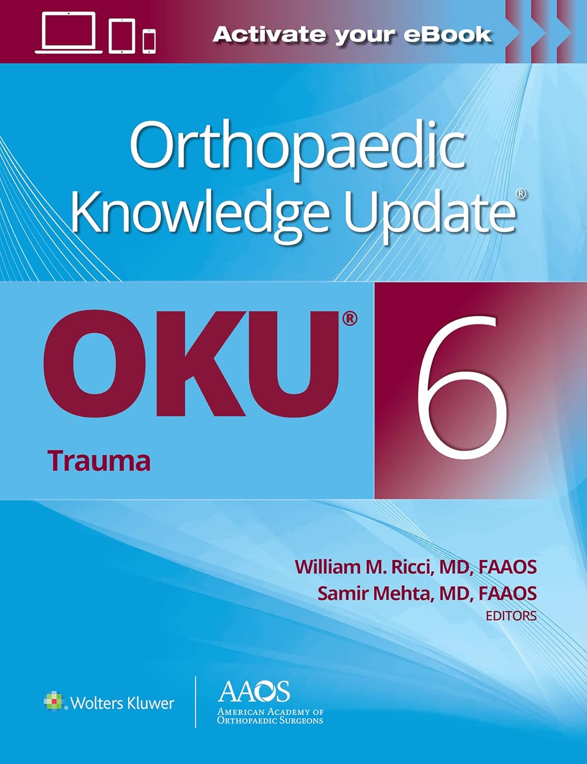 Orthopaedic knowledge update. Trauma 6 /editors, William M. Ricci, Samir Mehta.