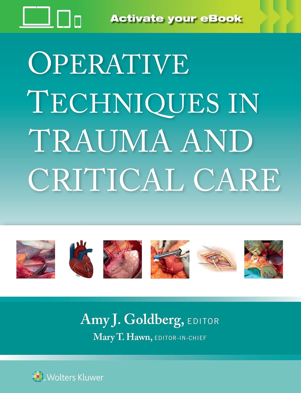 Operative techniques in trauma and critical care /Mary T. Hawn, editor-in-chief ; editor, Amy J. Goldberg.